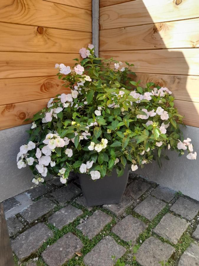 Le Gite De Campagnette Avec Son Jacuzzi Privatif Saint-Martin-Choquel Exterior photo
